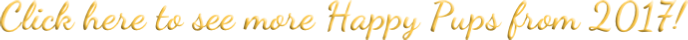 Happy Pups 2017